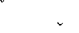 birdsblk